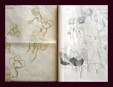 きらりチャンネル--加飾工房＆ギャラリー琥珀色の器--大沼美里さん