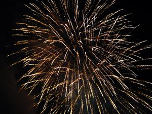 Webの駅ゆざわ--秋田県湯沢市地域情報動画配信サイト(観光情報)--湯沢の見どころ--湯沢駅周辺エリア--犬っこまつり