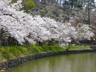 Webの駅ゆざわ--秋田県湯沢市地域情報動画配信サイト(観光情報)--湯沢の見どころ--湯沢駅周辺エリア--前森公園