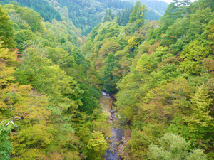 Webの駅ゆざわ--秋田県湯沢市地域情報動画配信サイト(観光情報)--湯沢の見どころ--川原毛・泥湯エリア--三途川渓谷