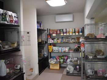 Webの駅ゆざわ--秋田県湯沢市地域情報動画配信サイト(観光情報)--湯沢で学んで遊ぶ--生活・文化--rabbithouse naia